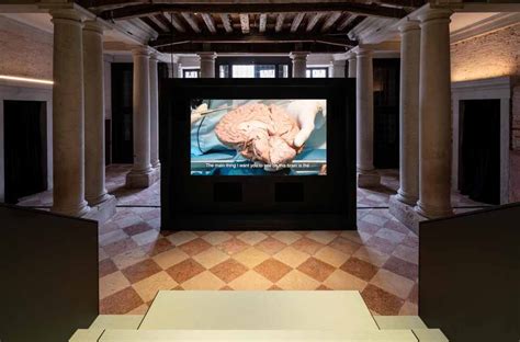 mostra sui filosofi a fondazione prada venezia|HUMAN BRAINS .